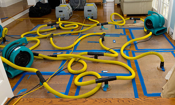 Professional Water Extraction technician working in Anson, TX